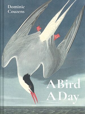 cover image of A Bird a Day